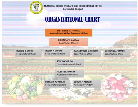 stl la trinidad groups|Municipal Social Welfare Development Office .